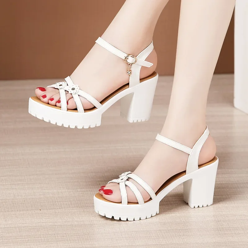8cm Small Size 32-43 Elegant F - مراجعة Women Shoes Model وسعره